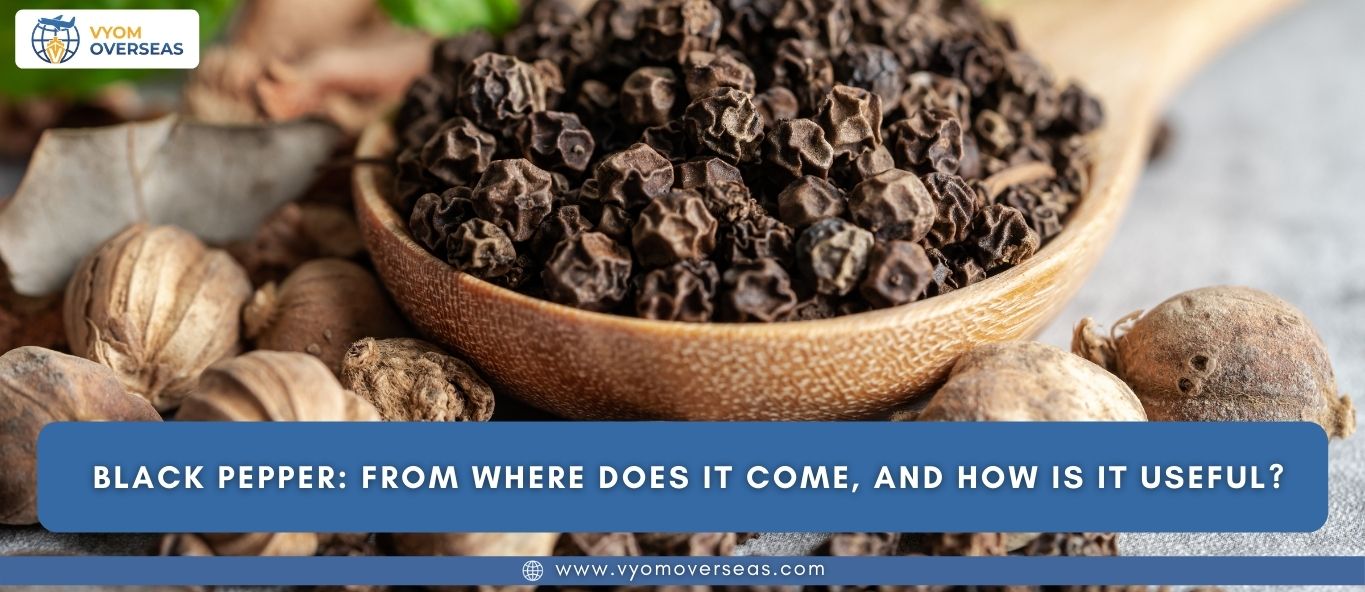 Where Does Black Pepper Come From? And How to Use It