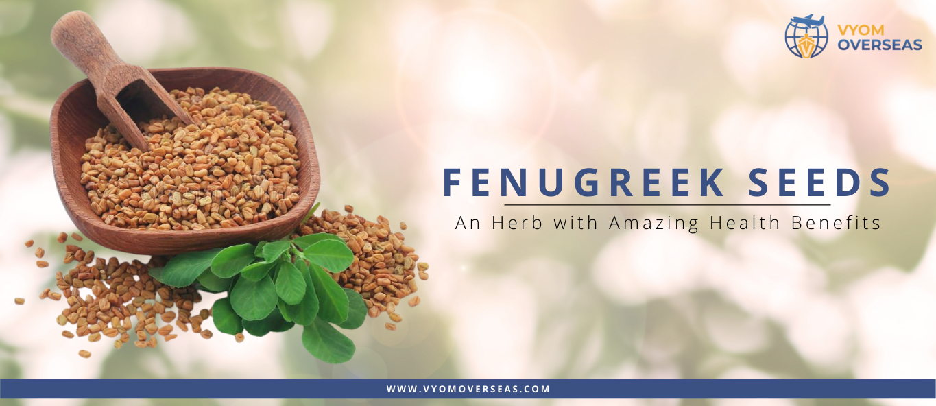 Fenugreek: An Herb with Unbelievable Health Benefits