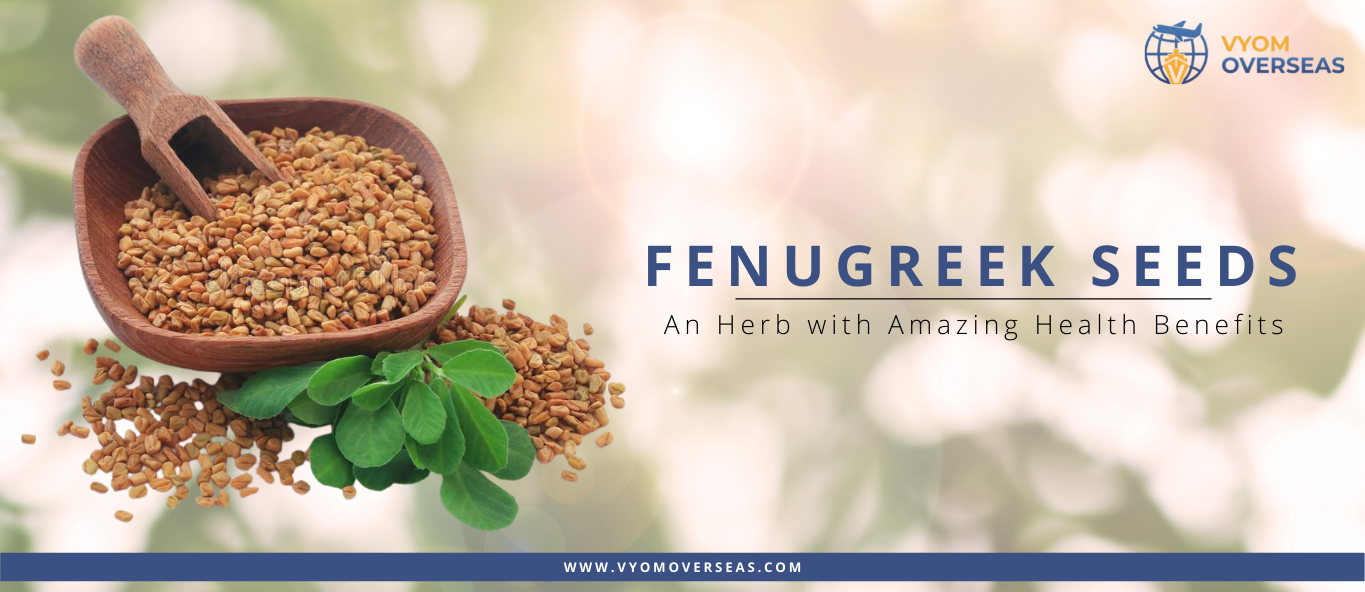 6 Benefits Of Fenugreek For Your Hair  How To Use  Vedix