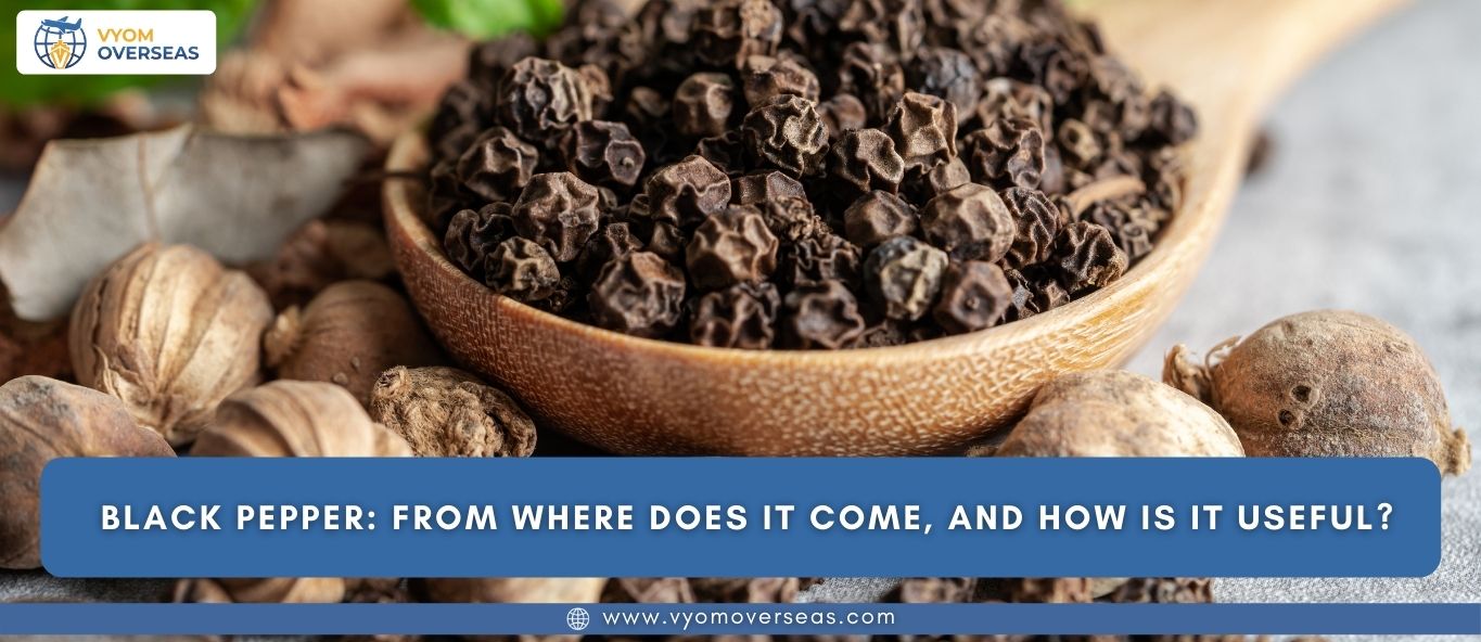 Black Pepper From where does it come, and how is it useful