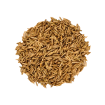 Cumin seeds