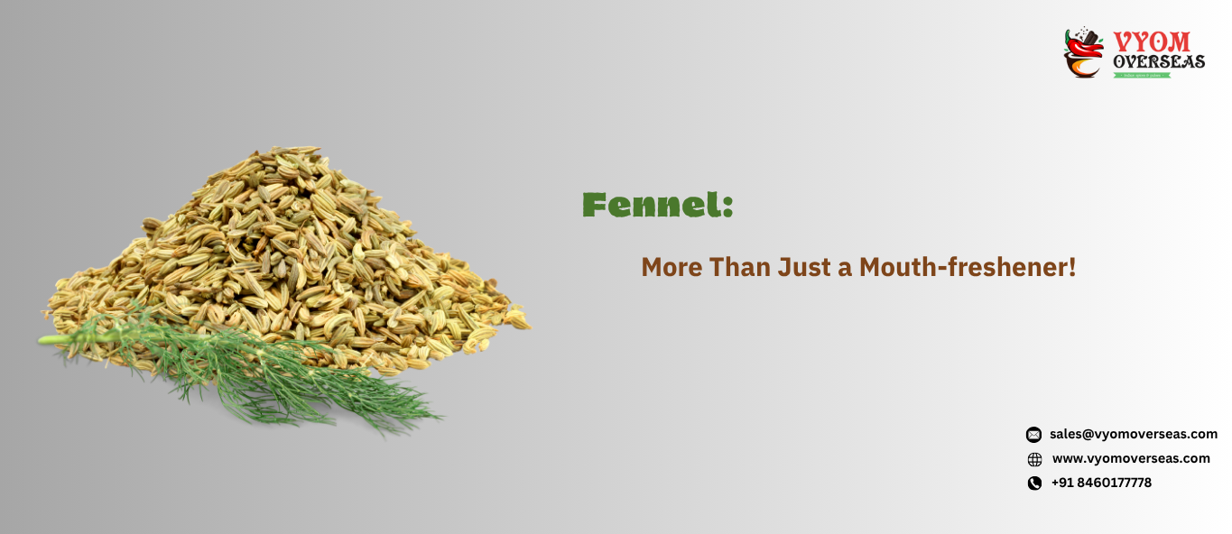Fennel More Than Just a Mouth-freshener!