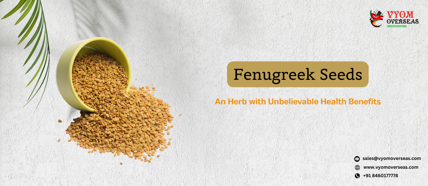 Fenugreek An Herb with Unbelievable Health Benefits