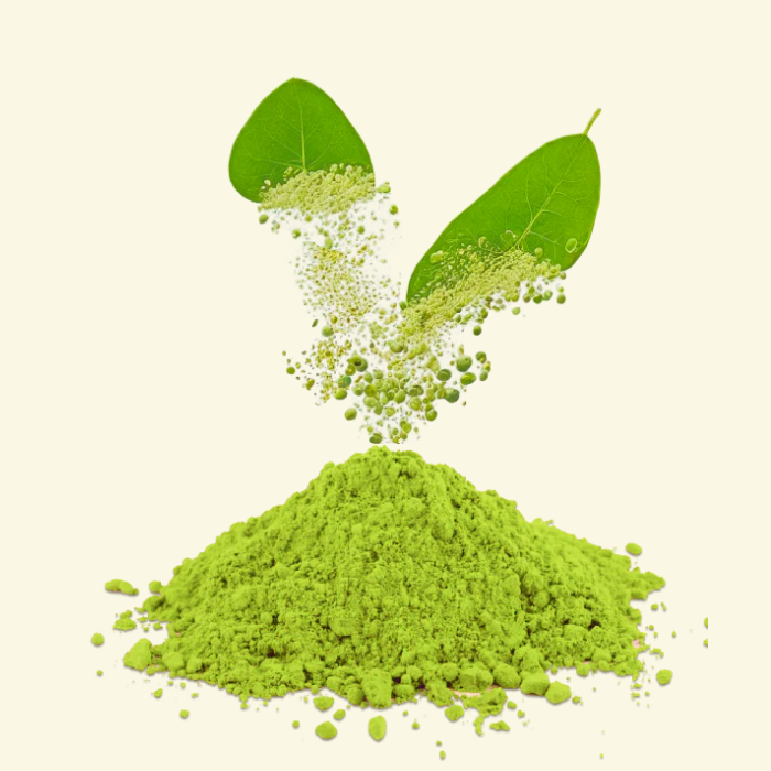 Moringa powder