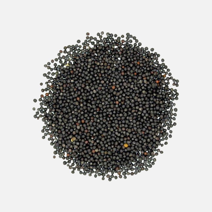 Black Mustard Seeds