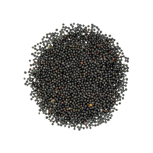 Black Mustard Seeds