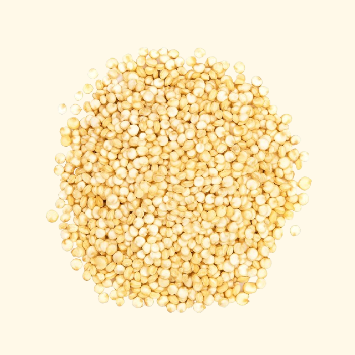 Quinoa seeds