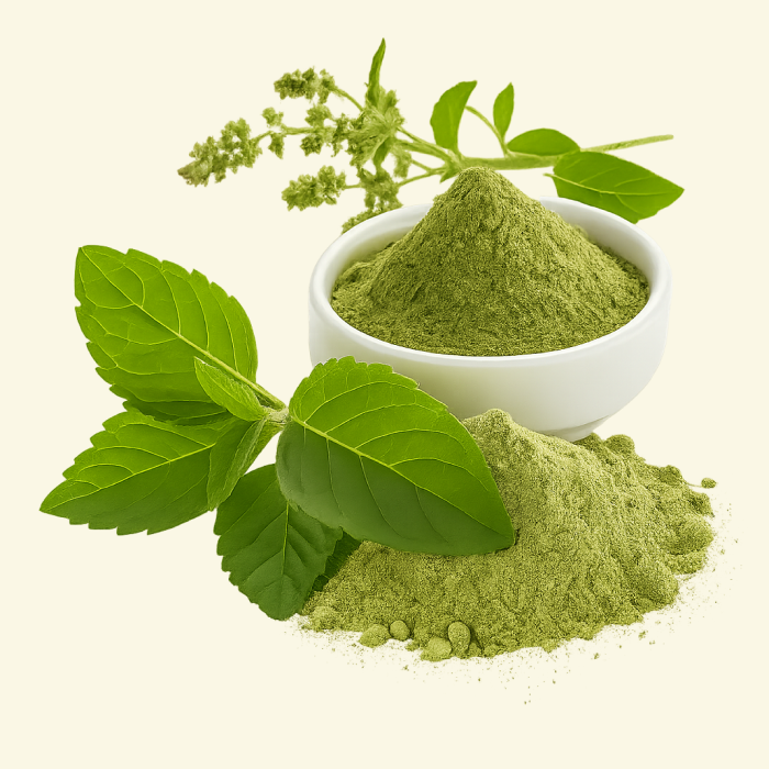 Tulsi Leaf powder