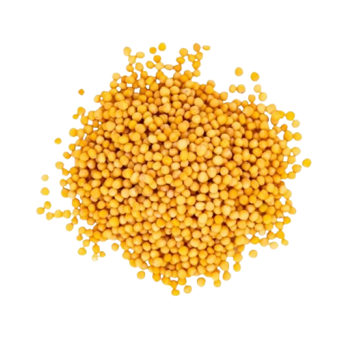Yellow Mustard Seeds